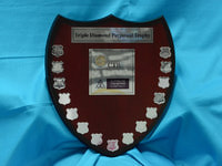 Triple Diamond Trophy 324kb.jpg